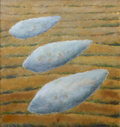 Nad polem  60x55  2012